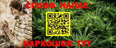 гашик Гусиноозёрск
